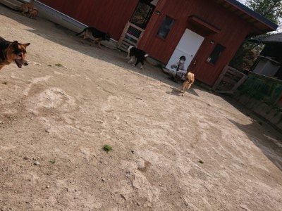 f:id:roukenhome-ann:20190407181707j:plain