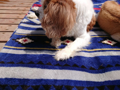 f:id:roukenhome-ann:20190407181713j:plain