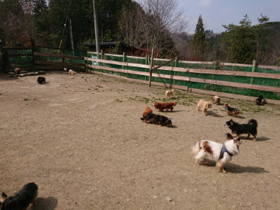f:id:roukenhome-ann:20190407181748j:plain