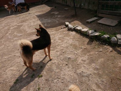 f:id:roukenhome-ann:20190407182010j:plain