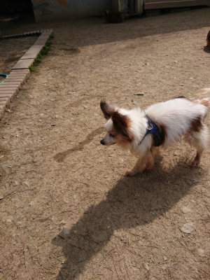 f:id:roukenhome-ann:20190407182050j:plain