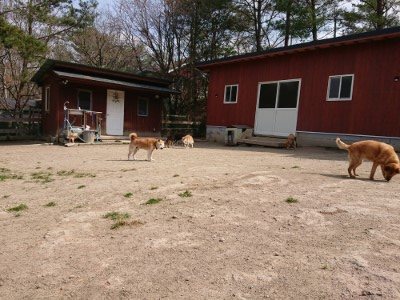 f:id:roukenhome-ann:20190407182055j:plain