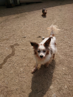 f:id:roukenhome-ann:20190407182113j:plain