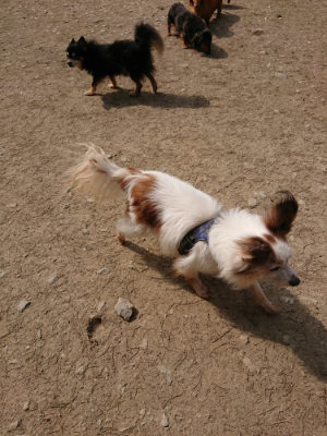 f:id:roukenhome-ann:20190407182244j:plain