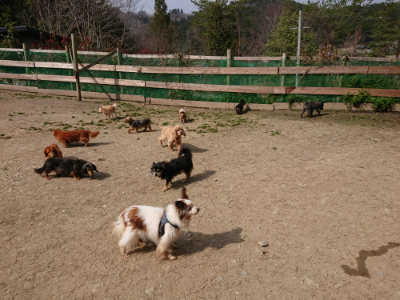 f:id:roukenhome-ann:20190407182300j:plain