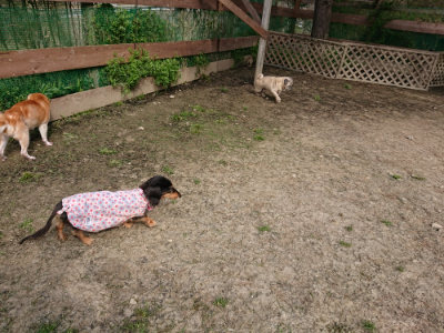 f:id:roukenhome-ann:20190407182356j:plain