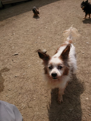 f:id:roukenhome-ann:20190407182402j:plain