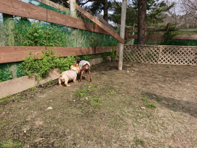 f:id:roukenhome-ann:20190407182426j:plain