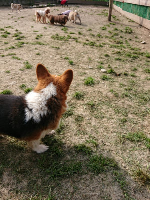 f:id:roukenhome-ann:20190407182534j:plain