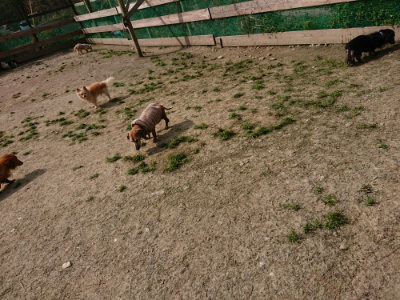 f:id:roukenhome-ann:20190407182540j:plain