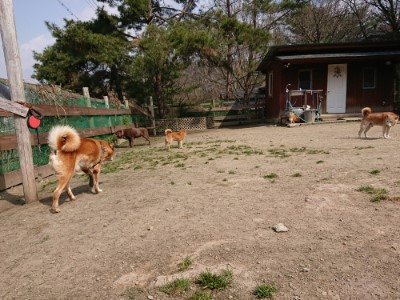 f:id:roukenhome-ann:20190407182600j:plain