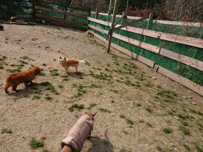 f:id:roukenhome-ann:20190407182633j:plain