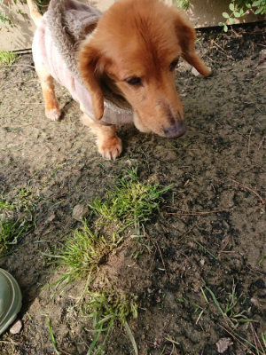 f:id:roukenhome-ann:20190407182723j:plain