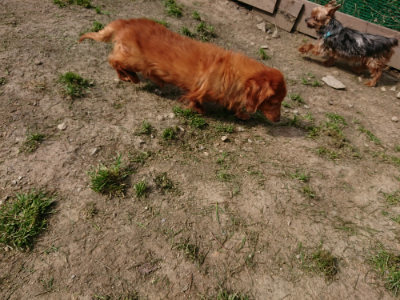 f:id:roukenhome-ann:20190407182754j:plain