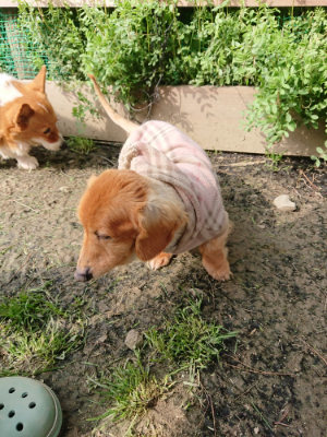 f:id:roukenhome-ann:20190407182819j:plain