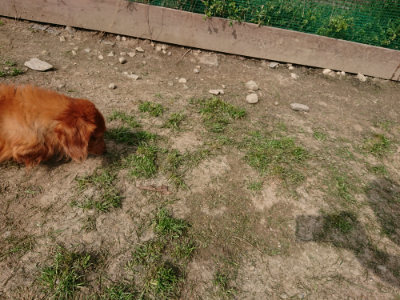 f:id:roukenhome-ann:20190407182854j:plain