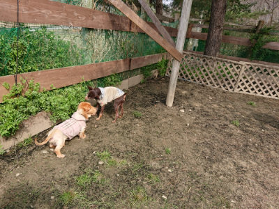 f:id:roukenhome-ann:20190407182920j:plain