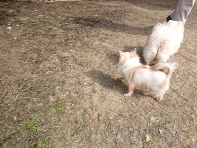 f:id:roukenhome-ann:20190407182950j:plain
