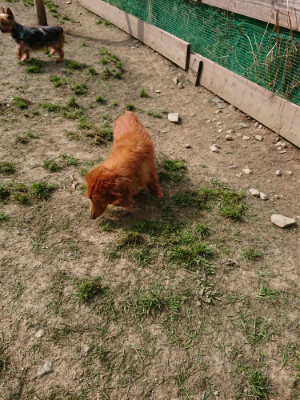 f:id:roukenhome-ann:20190407183157j:plain