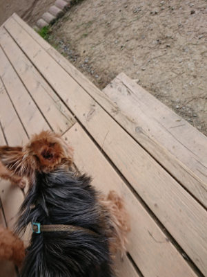f:id:roukenhome-ann:20190407183223j:plain