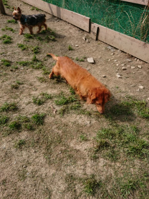 f:id:roukenhome-ann:20190407183230j:plain