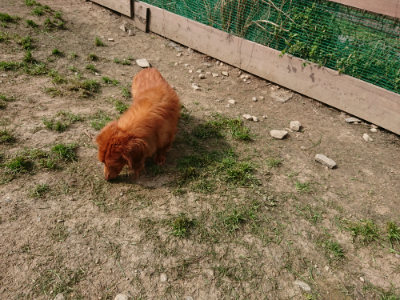 f:id:roukenhome-ann:20190407183242j:plain