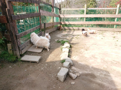 f:id:roukenhome-ann:20190407183856j:plain