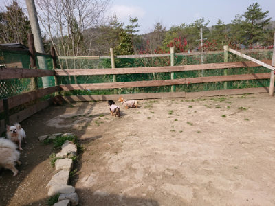 f:id:roukenhome-ann:20190407183902j:plain