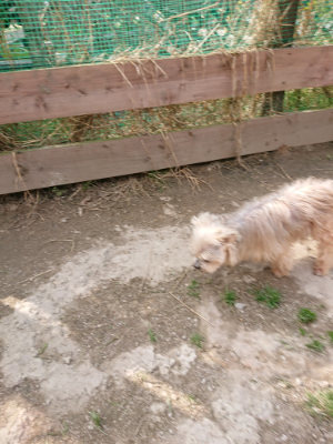 f:id:roukenhome-ann:20190407183908j:plain