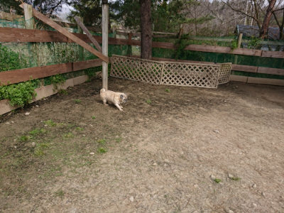 f:id:roukenhome-ann:20190407183920j:plain