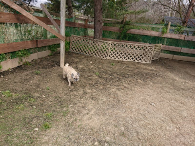 f:id:roukenhome-ann:20190407183929j:plain