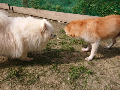 f:id:roukenhome-ann:20190407183956j:plain