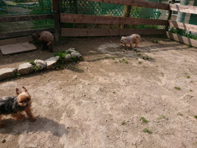 f:id:roukenhome-ann:20190407184046j:plain
