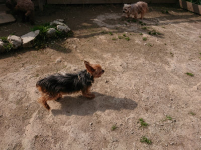 f:id:roukenhome-ann:20190407184054j:plain