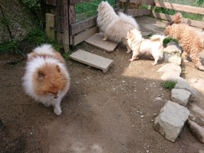 f:id:roukenhome-ann:20190407184059j:plain