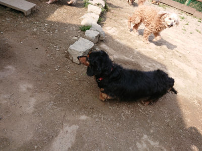 f:id:roukenhome-ann:20190407184105j:plain