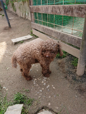 f:id:roukenhome-ann:20190407184129j:plain