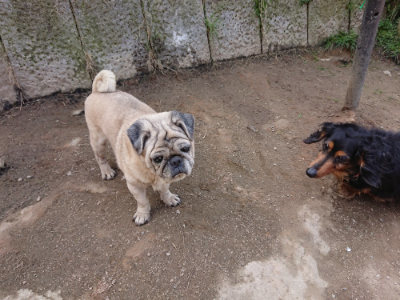 f:id:roukenhome-ann:20190407184156j:plain