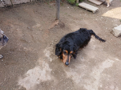 f:id:roukenhome-ann:20190407184202j:plain