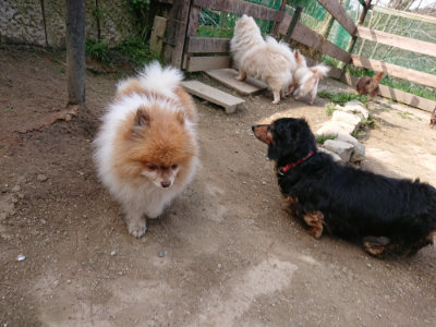 f:id:roukenhome-ann:20190407184218j:plain