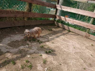 f:id:roukenhome-ann:20190407184226j:plain