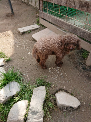 f:id:roukenhome-ann:20190407184238j:plain