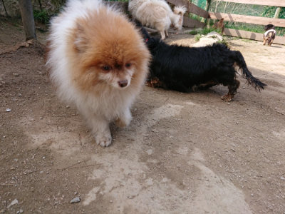 f:id:roukenhome-ann:20190407184245j:plain
