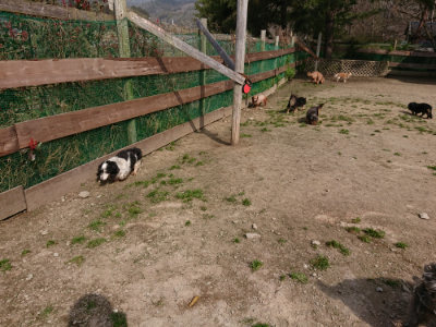 f:id:roukenhome-ann:20190407184308j:plain