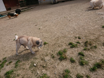 f:id:roukenhome-ann:20190407184416j:plain