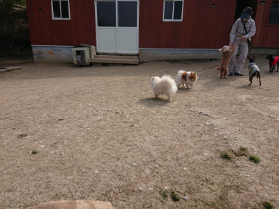 f:id:roukenhome-ann:20190407184422j:plain