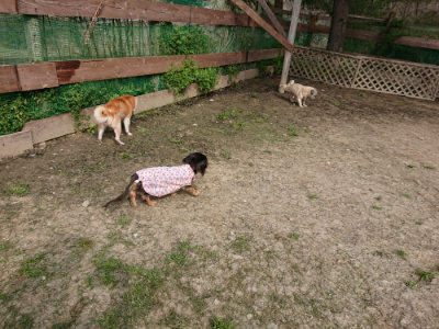 f:id:roukenhome-ann:20190407184428j:plain