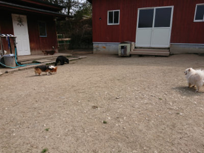 f:id:roukenhome-ann:20190407184504j:plain