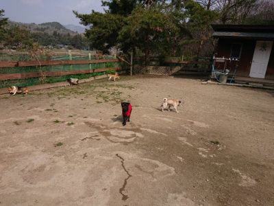 f:id:roukenhome-ann:20190407184516j:plain