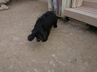 f:id:roukenhome-ann:20190407184549j:plain